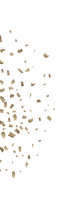 confetti 1