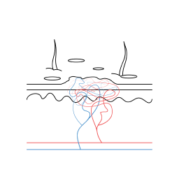 zdorwa skora vs zmiany 04 1